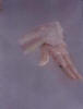 figure19